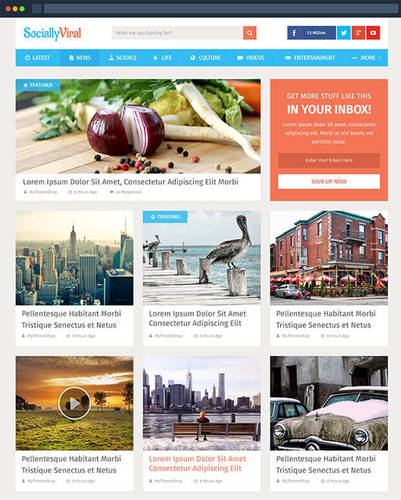 30+ Best WordPress Magazine Themes for 2016 - 2017 | WPVKP