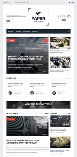 cheap newspaper wordpress theme