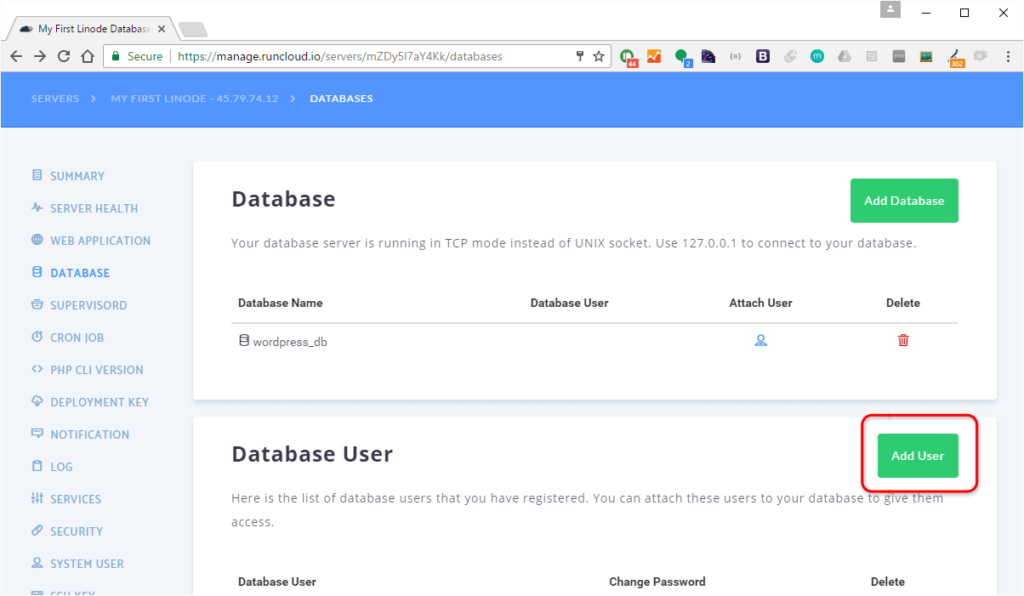 add users to database