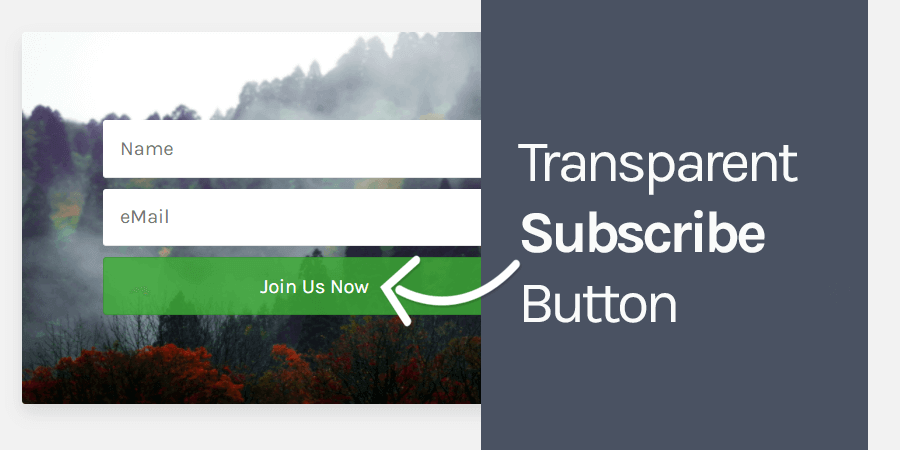 tutorial to make subscribe button transparent with html and css
