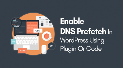 enable dns prefetch in wordpress using plugin and code snippet
