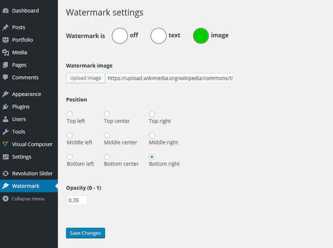 options-of-WP-Watermark-Site-plugin